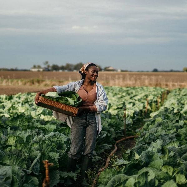 woman in a field (1)